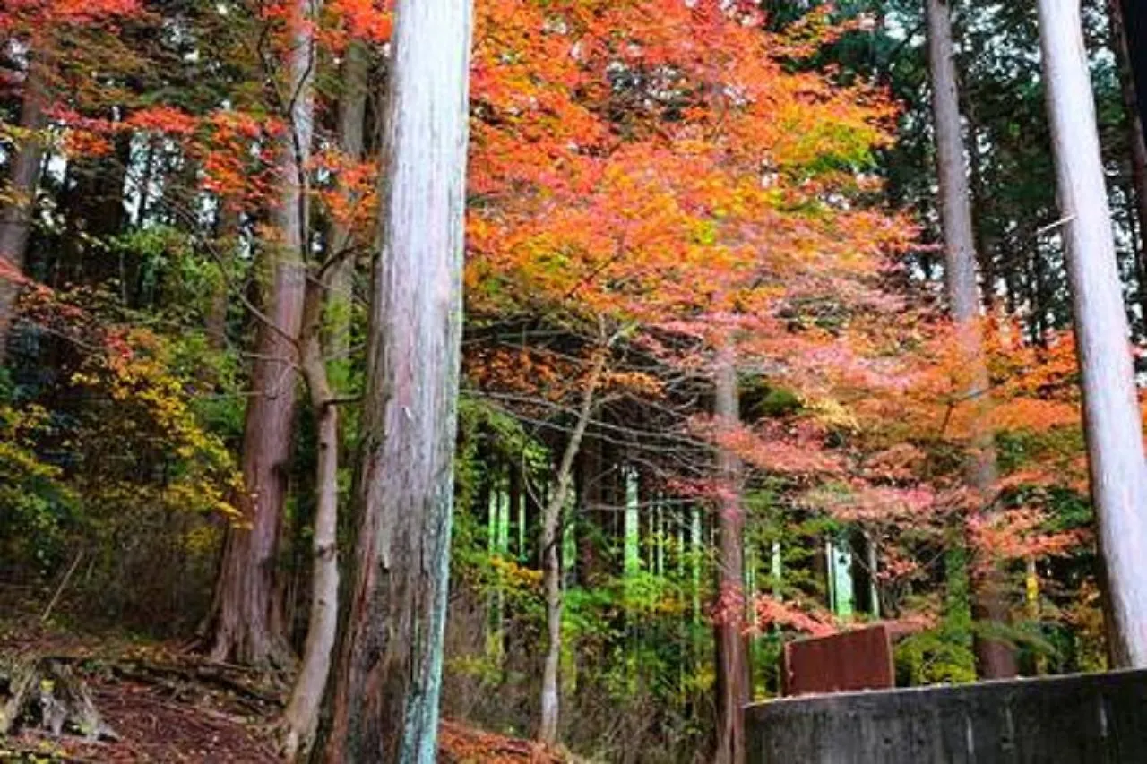 Hakone Onelife Onsen Vacation Villa